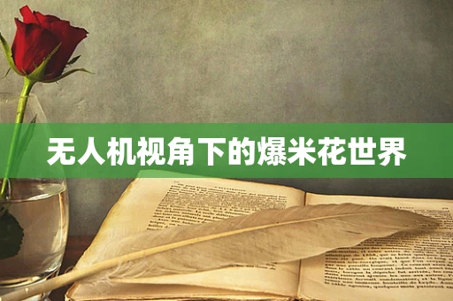 无人机视角下的爆米花世界