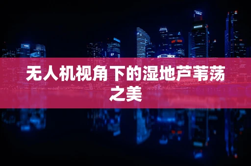 无人机视角下的湿地芦苇荡之美