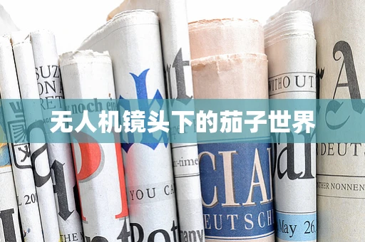 无人机镜头下的茄子世界