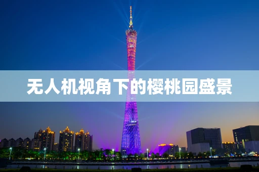 无人机视角下的樱桃园盛景