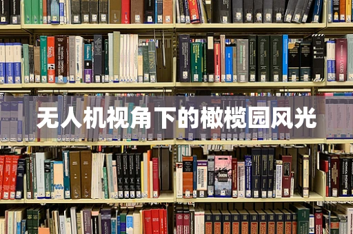 无人机视角下的橄榄园风光