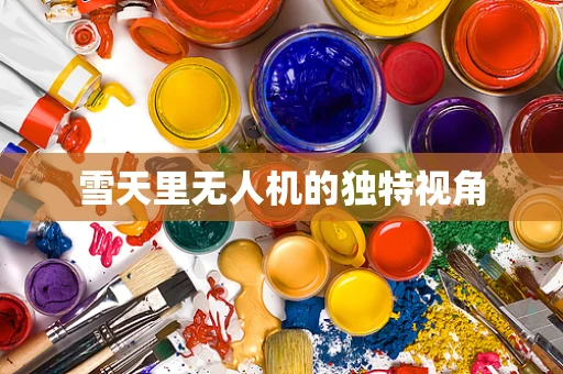 雪天里无人机的独特视角
