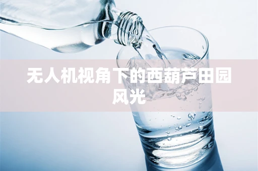 无人机视角下的西葫芦田园风光