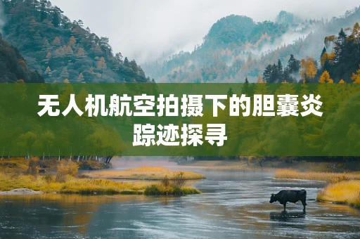 无人机航空拍摄下的胆囊炎踪迹探寻