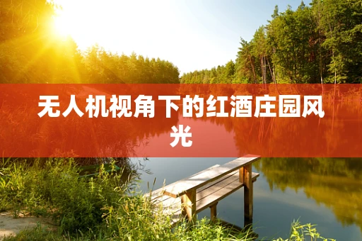 无人机视角下的红酒庄园风光