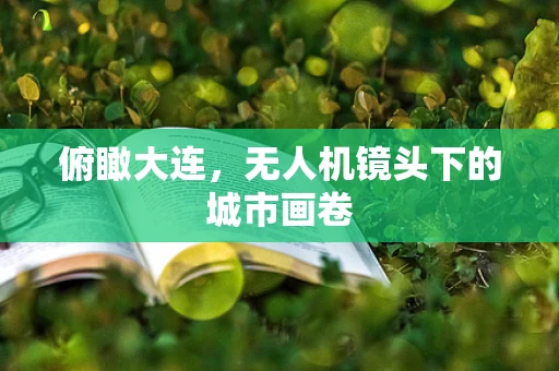 俯瞰大连，无人机镜头下的城市画卷