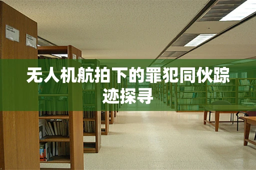 无人机航拍下的罪犯同伙踪迹探寻