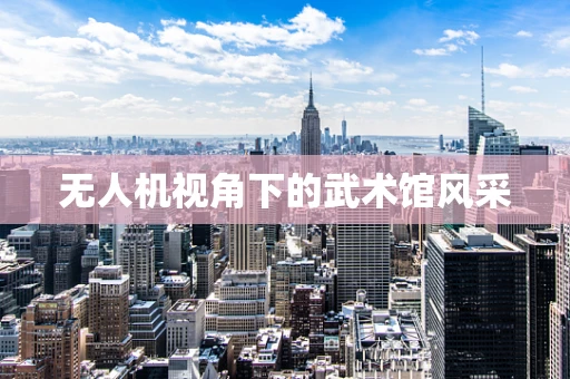 无人机视角下的武术馆风采