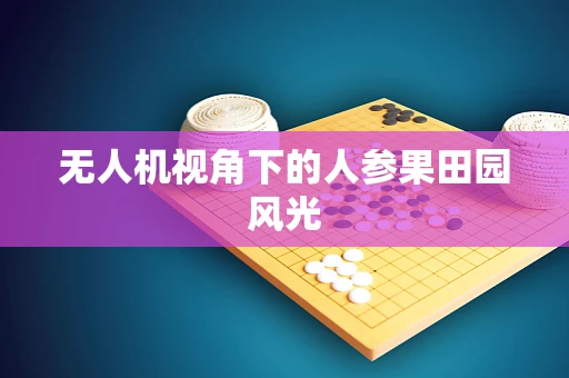 无人机视角下的人参果田园风光