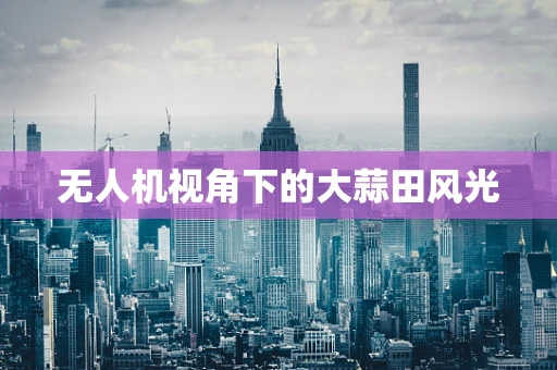 无人机视角下的大蒜田风光