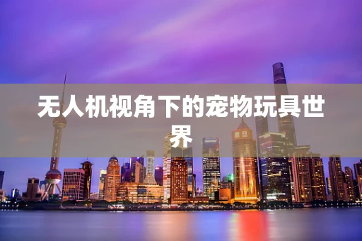 无人机视角下的宠物玩具世界