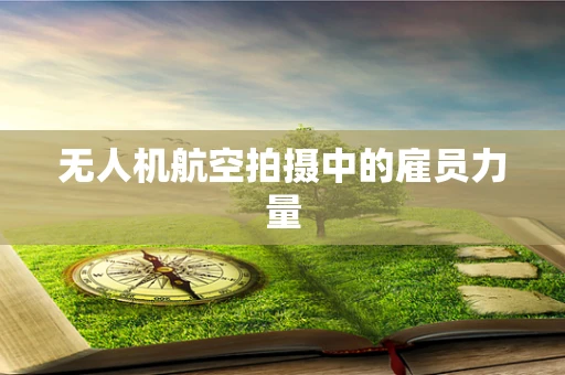 无人机航空拍摄中的雇员力量