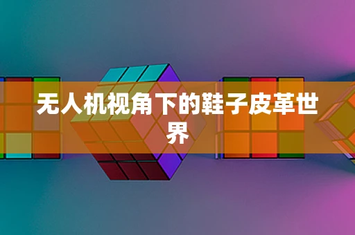 无人机视角下的鞋子皮革世界