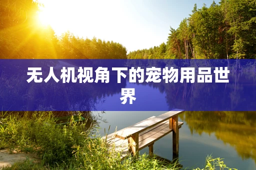 无人机视角下的宠物用品世界