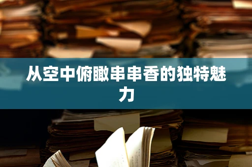 从空中俯瞰串串香的独特魅力