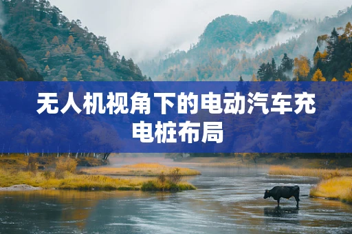 无人机视角下的电动汽车充电桩布局