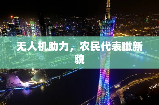 无人机助力，农民代表瞰新貌