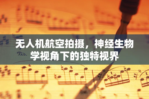 无人机航空拍摄，神经生物学视角下的独特视界
