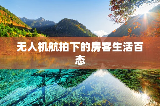 无人机航拍下的房客生活百态