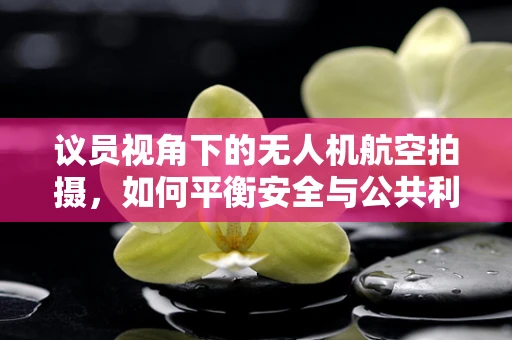 议员视角下的无人机航空拍摄，如何平衡安全与公共利益？