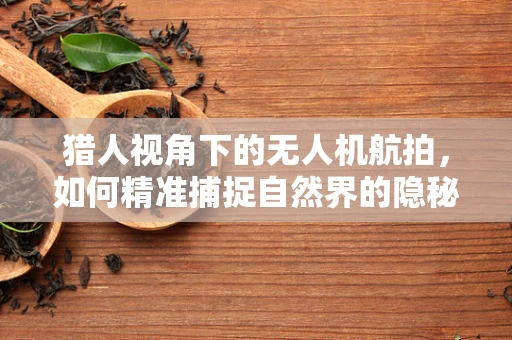 猎人视角下的无人机航拍，如何精准捕捉自然界的隐秘瞬间？
