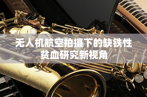 无人机航空拍摄下的缺铁性贫血研究新视角