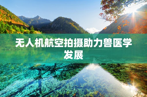 无人机航空拍摄助力兽医学发展