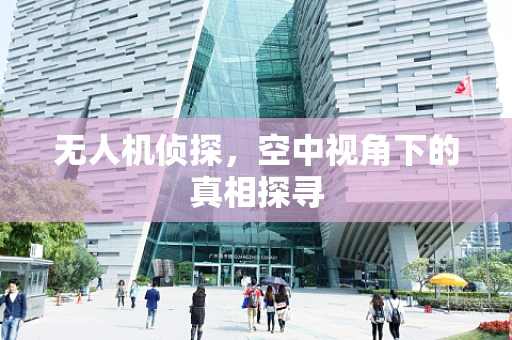 无人机侦探，空中视角下的真相探寻
