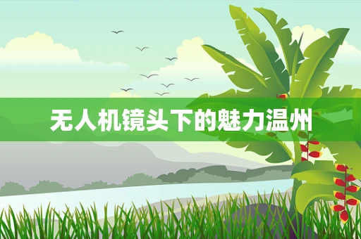 无人机镜头下的魅力温州