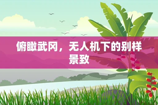 俯瞰武冈，无人机下的别样景致