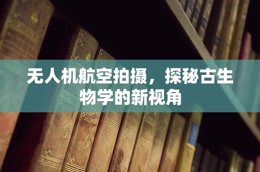 无人机航空拍摄，探秘古生物学的新视角