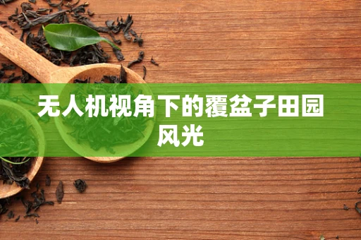 无人机视角下的覆盆子田园风光