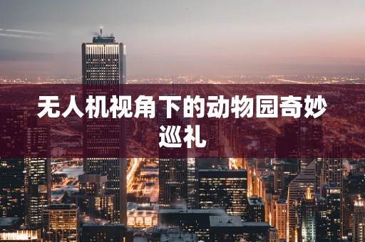 无人机视角下的动物园奇妙巡礼