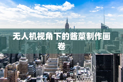 无人机视角下的酱菜制作画卷