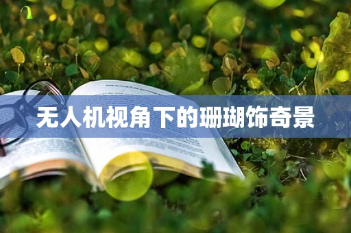 无人机视角下的珊瑚饰奇景