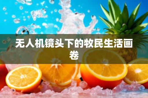 无人机镜头下的牧民生活画卷