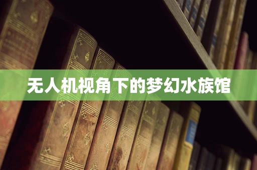 无人机视角下的梦幻水族馆