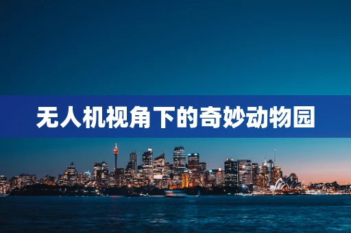 无人机视角下的奇妙动物园