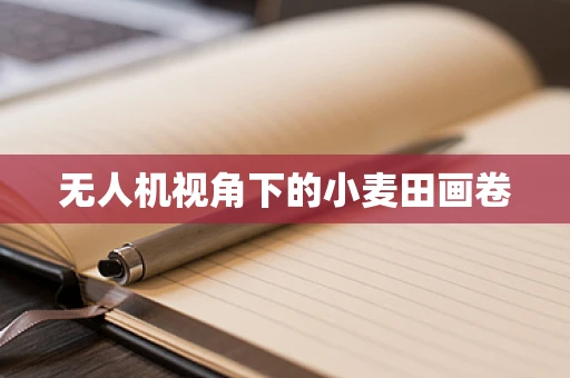 无人机视角下的小麦田画卷