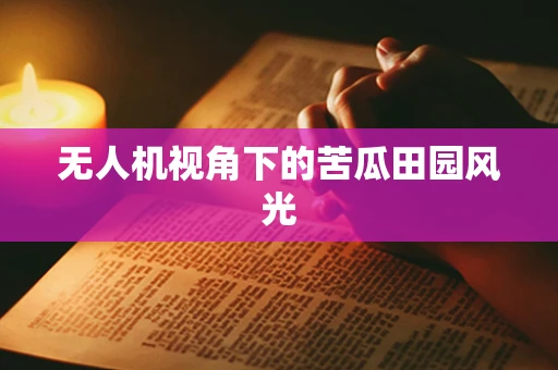 无人机视角下的苦瓜田园风光