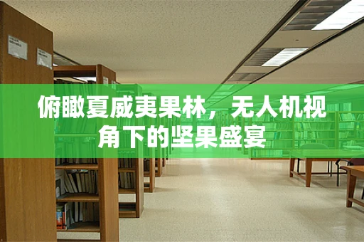 俯瞰夏威夷果林，无人机视角下的坚果盛宴