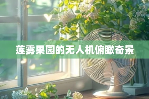莲雾果园的无人机俯瞰奇景