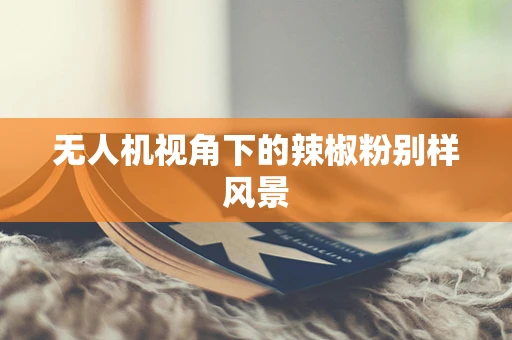 无人机视角下的辣椒粉别样风景