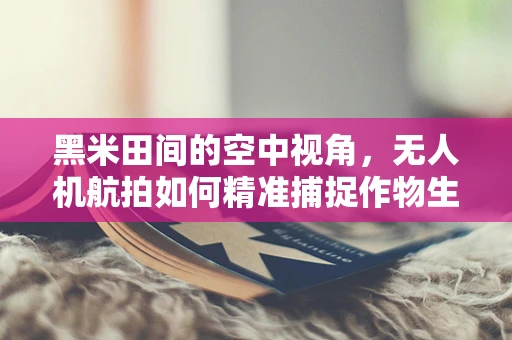 黑米田间的空中视角，无人机航拍如何精准捕捉作物生长细节？