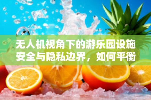 无人机视角下的游乐园设施安全与隐私边界，如何平衡娱乐与隐私？