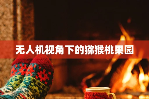 无人机视角下的猕猴桃果园