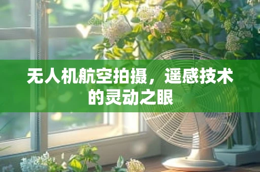 无人机航空拍摄，遥感技术的灵动之眼