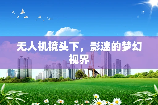 无人机镜头下，影迷的梦幻视界