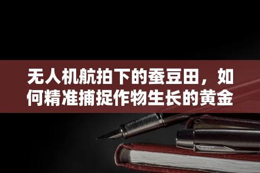 无人机航拍下的蚕豆田，如何精准捕捉作物生长的黄金时刻？