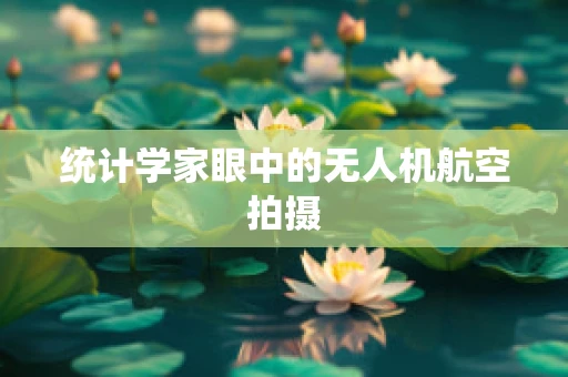 统计学家眼中的无人机航空拍摄
